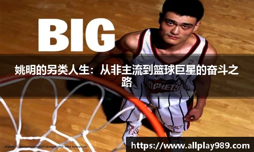 必一体育
