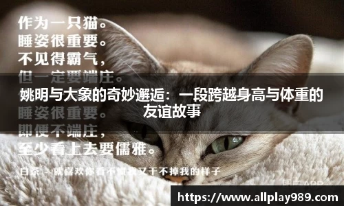 姚明与大象的奇妙邂逅：一段跨越身高与体重的友谊故事